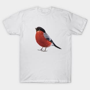 Bullfinch T-Shirt